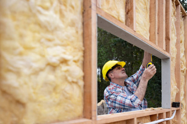 Best Wall Insulation Installation  in Linden, MI